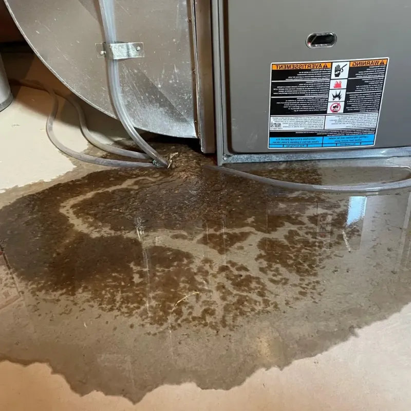 Pipe Burst and Leak Restoration in Lafayette, IN